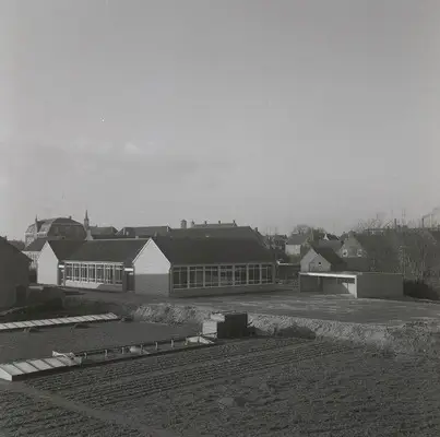 Nuts School